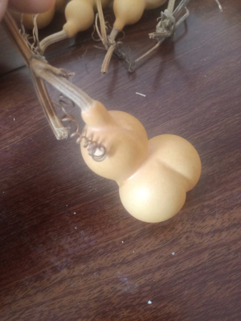 金蝉葫芦皮质嘎嘎好