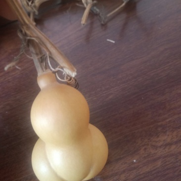 金蝉葫芦皮质嘎嘎好
