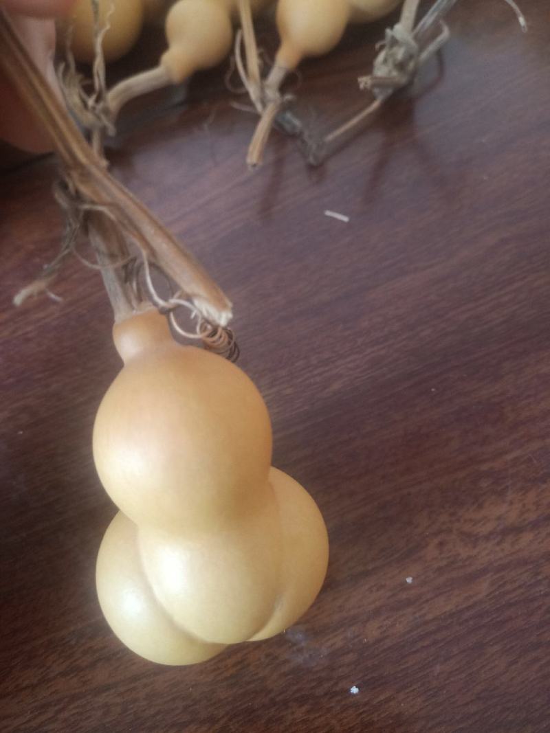 金蝉葫芦皮质嘎嘎好