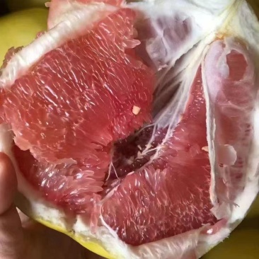 库里还有4千斤红心蜜柚，货在烟台龙口，可以随时看货。