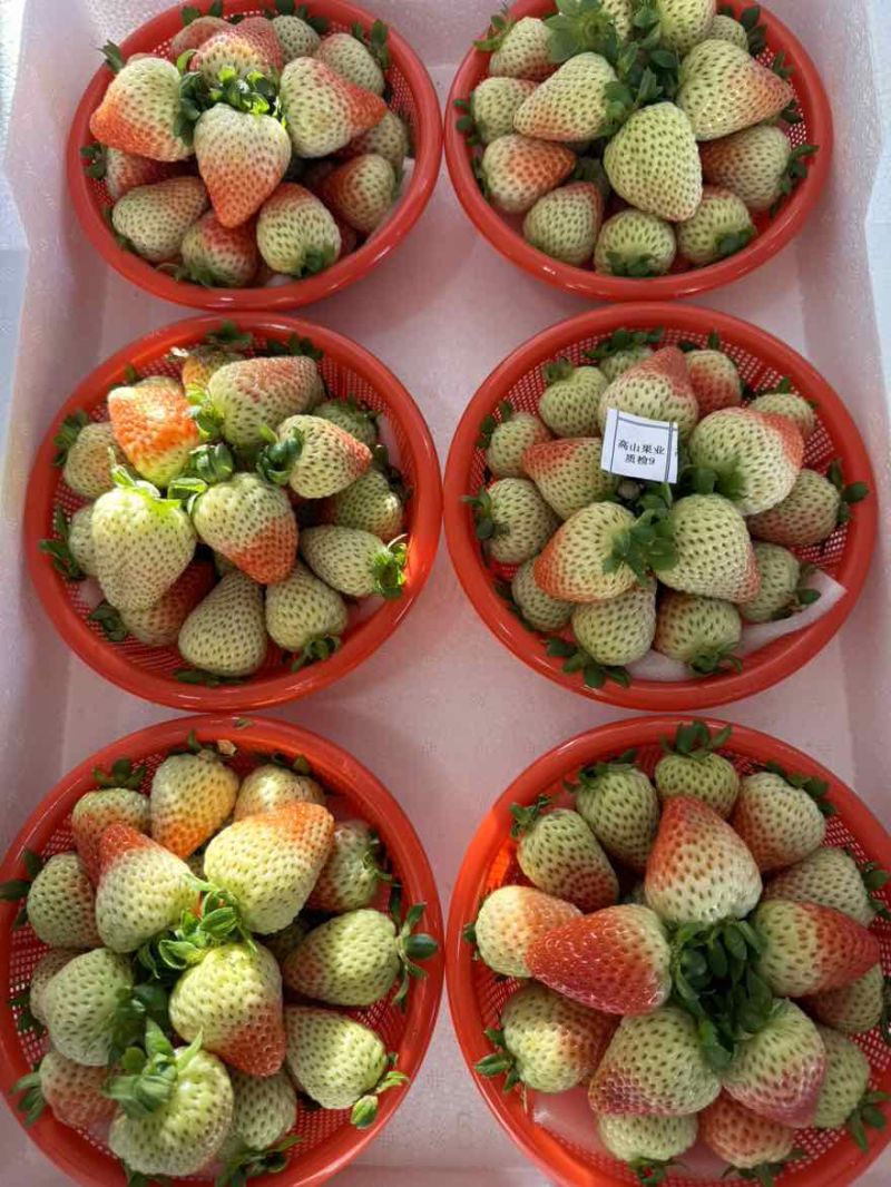各种包装都有原汁原味，酸甜可口需要的下单