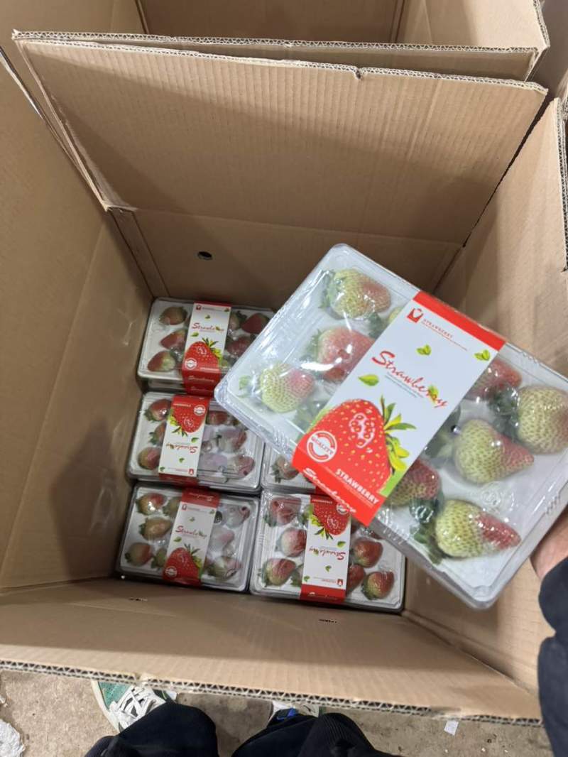 各种包装都有原汁原味，酸甜可口需要的下单