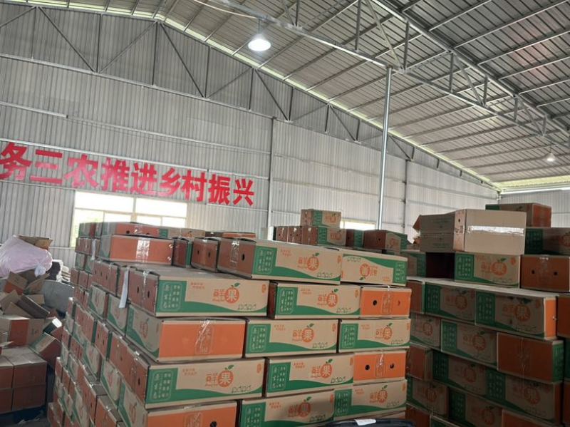 甘肃天水花牛苹果支持电商一件代发