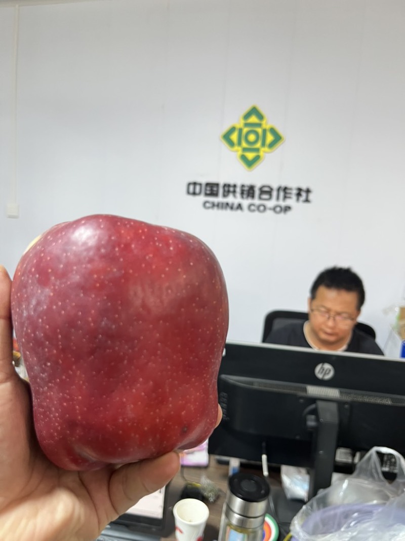 甘肃天水花牛苹果支持电商一件代发