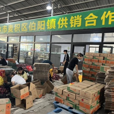 甘肃天水花牛苹果支持电商一件代发