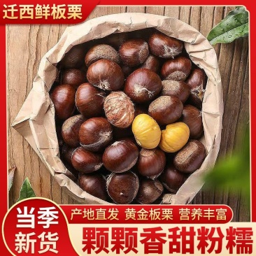 板栗