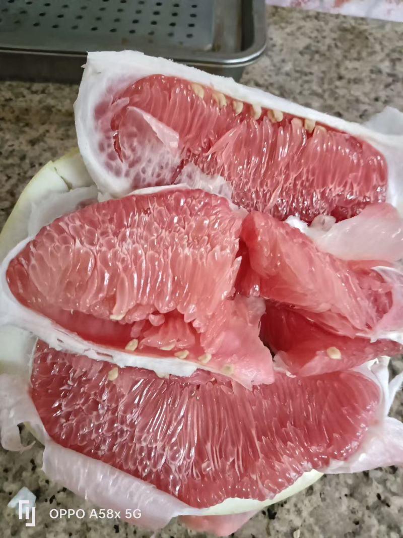 梅州红肉柚