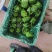 布茄子，尖椒，元椒