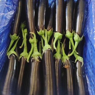 布茄子，尖椒，元椒