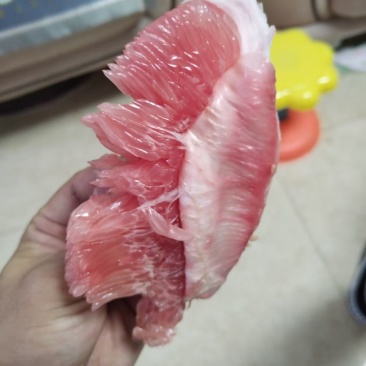 三红柚