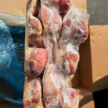 厂家老种鸭毛胗10吨，红嘴雁胗2吨