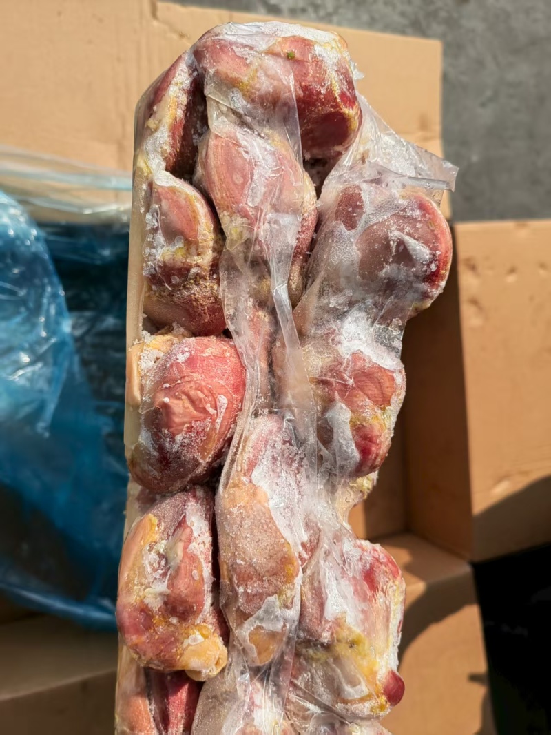 厂家老种鸭毛胗10吨，红嘴雁胗2吨