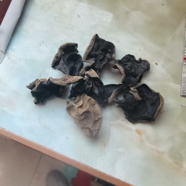 黑木耳