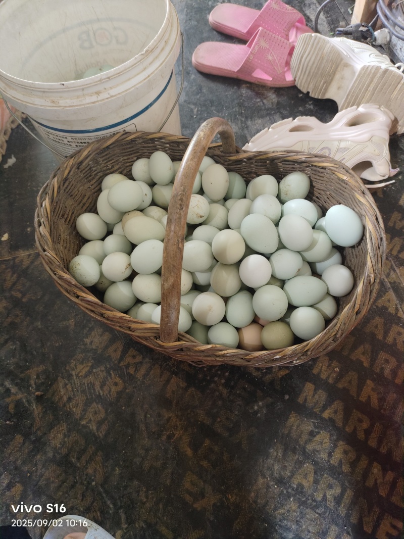 土鸡蛋