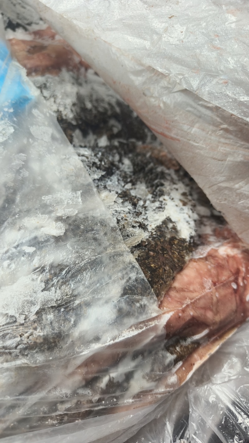 羊副产品羊头羊肚心肝肺羊心