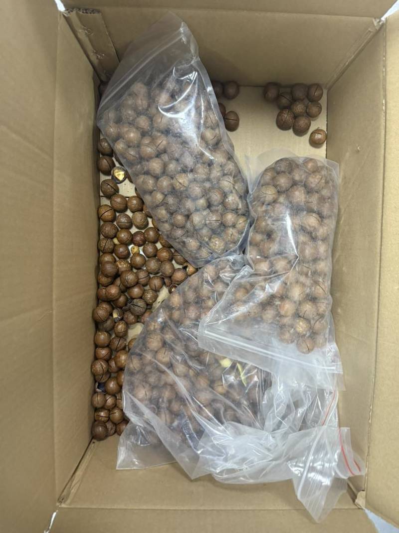 电商货精品货现货