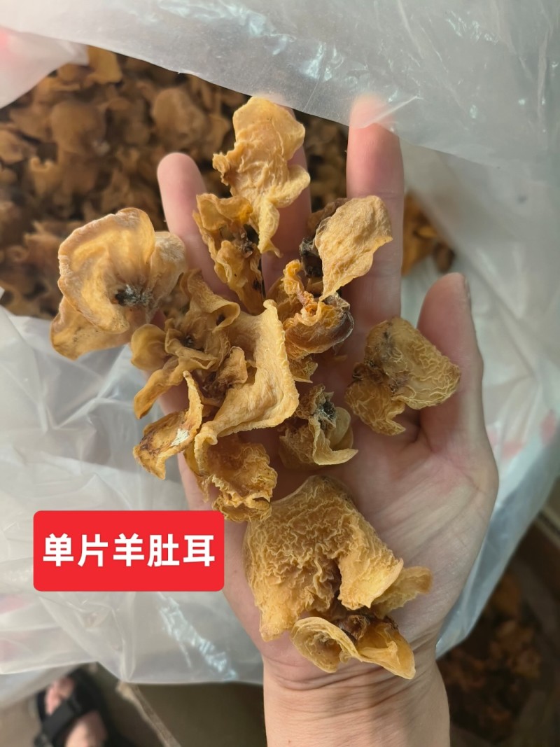 羊肚耳精品羊肚耳鹿肚菌沙耳精品沙耳珍珠菌兔耳菌电商