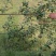 昭通苹果