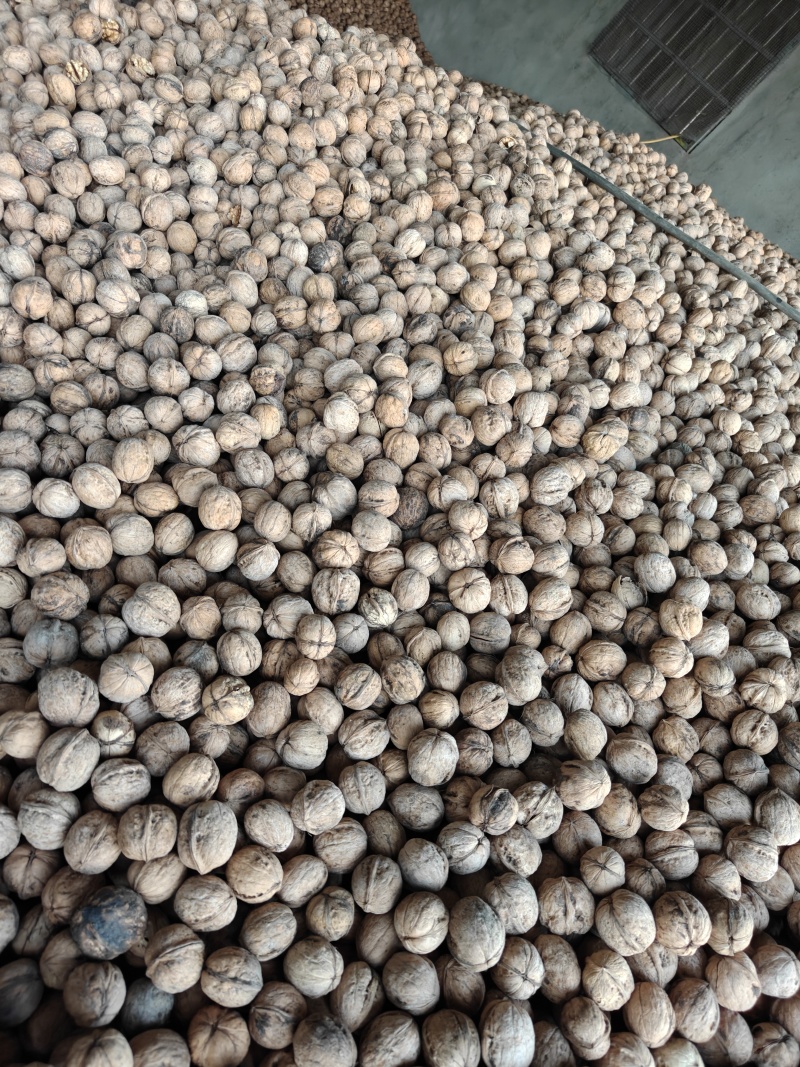 185纸皮核桃