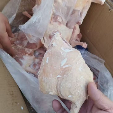 鸭边腿