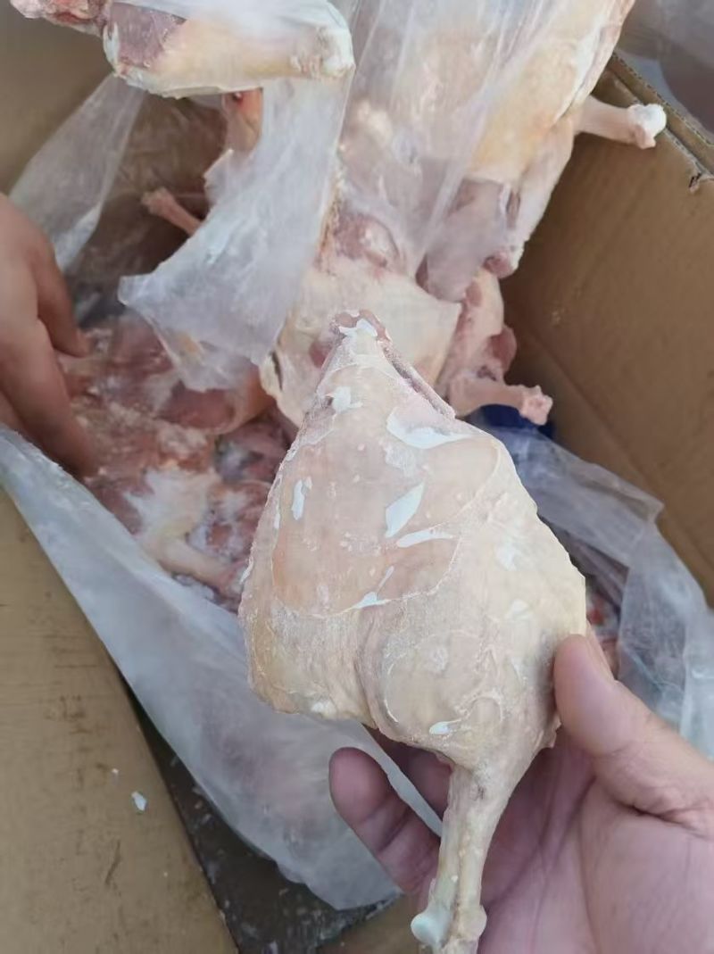 鸭边腿