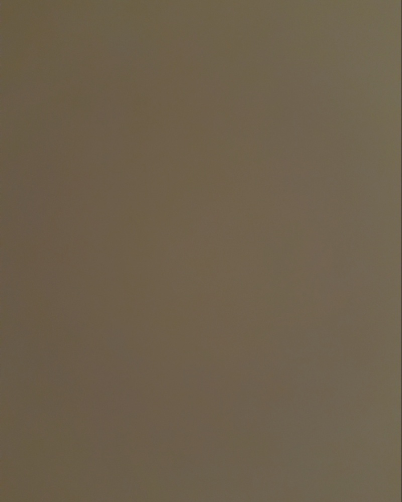 南瓜冬瓜