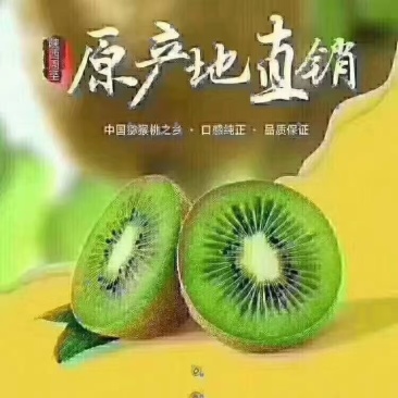 周至县猕猴桃上市