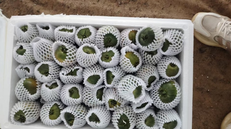 酸甜脆草莓番茄