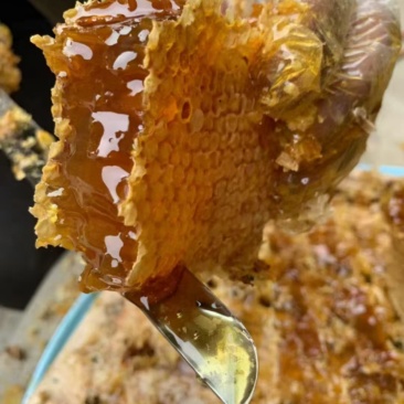蜂蜜