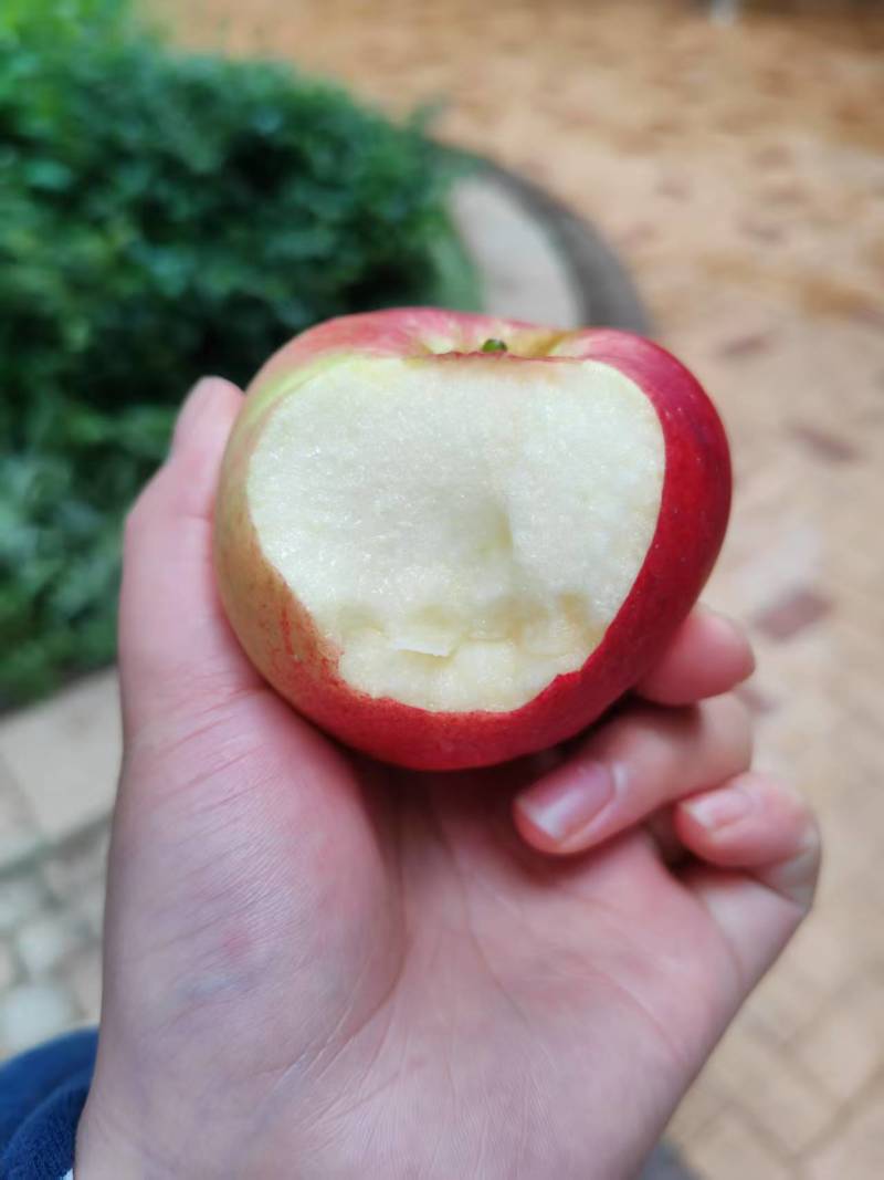 昭通冰糖心丑苹果