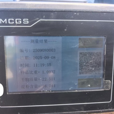 甘肃土豆，甘农薯7号
