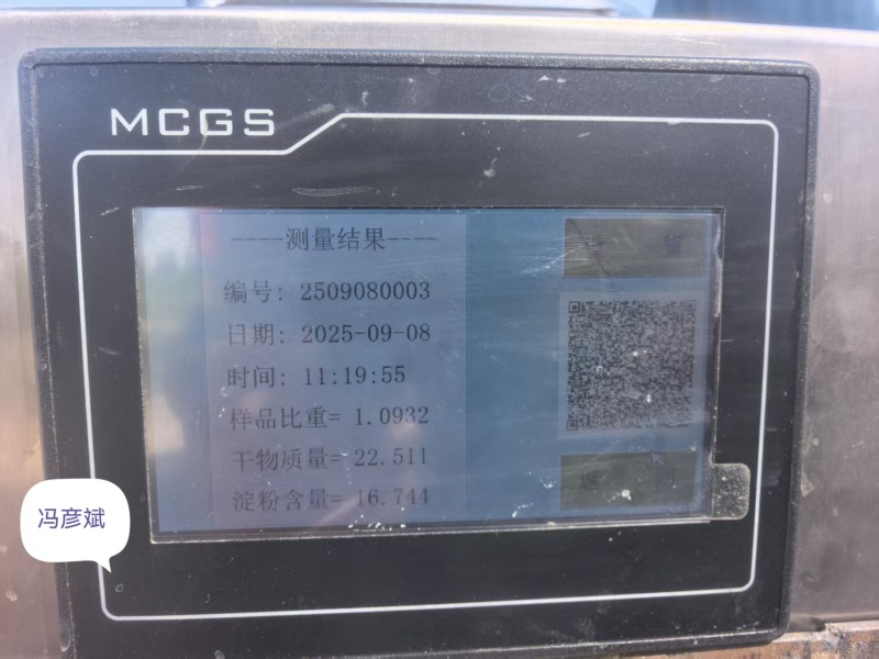甘肃土豆，甘农薯7号