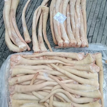 猪精长尾