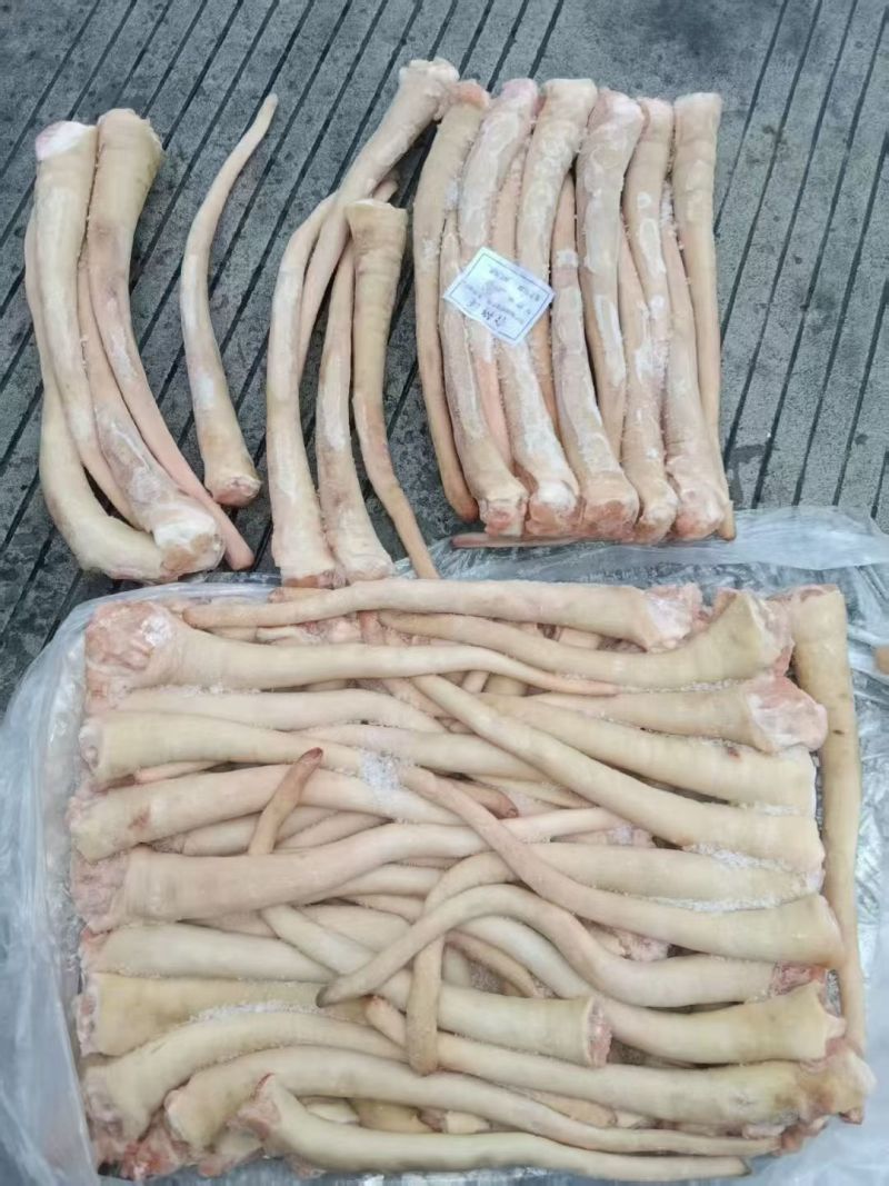 猪精长尾