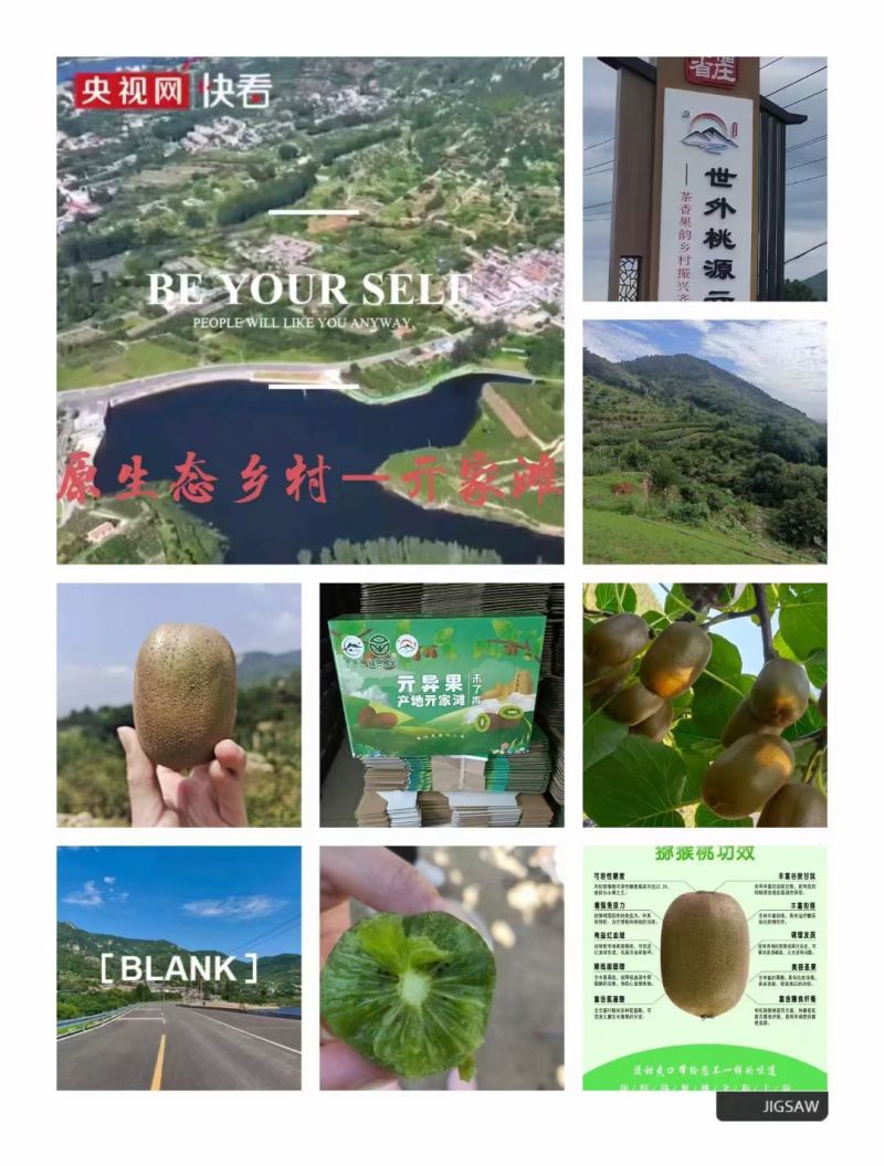 山东泰安市泰山一号弥猴桃