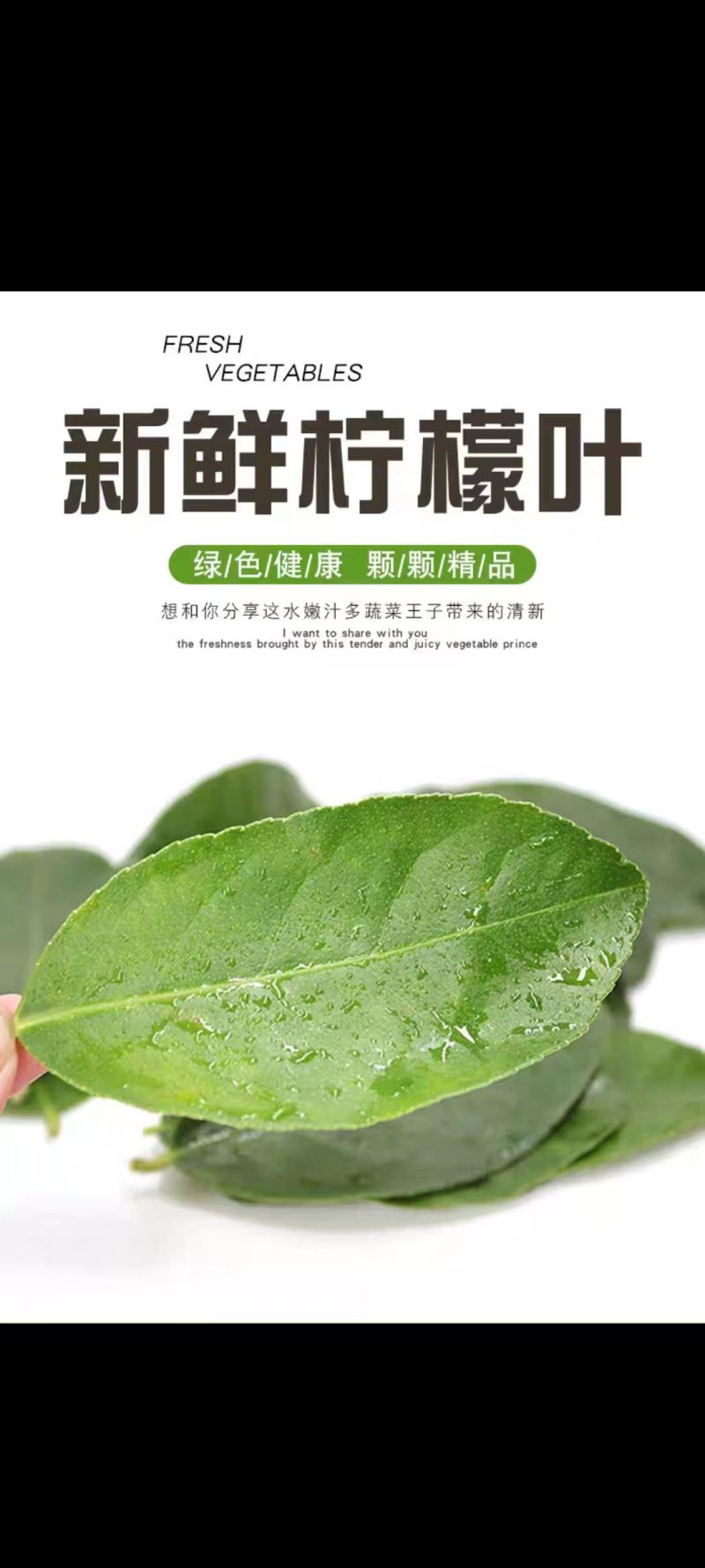 精品柠檬叶