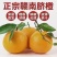 江西赣州信丰:赣南脐橙