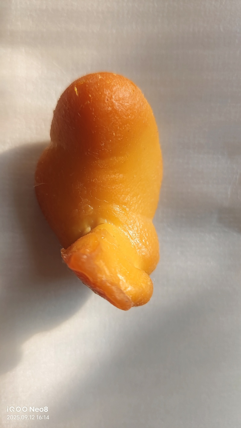 鸡宝一块