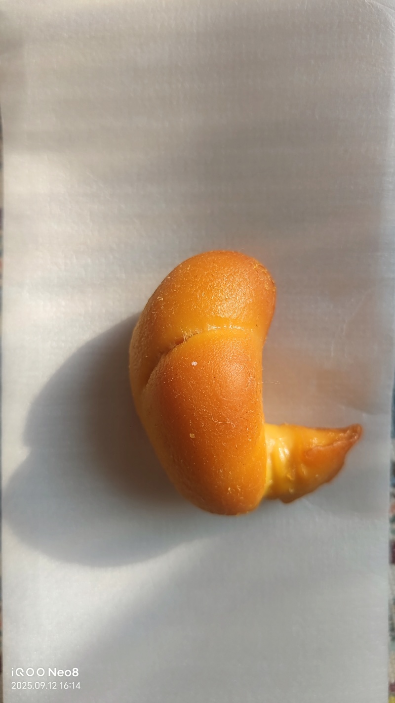 鸡宝一块