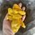 菠萝蜜干现货厂家直发
