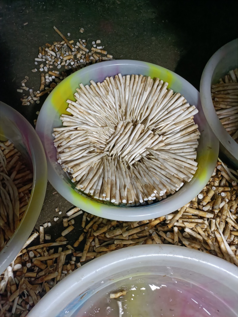 长号，中号，小号