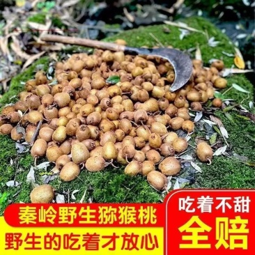 伏牛山野生猕猴桃纯野生***环保