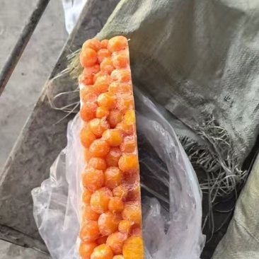 鸡蛋黄