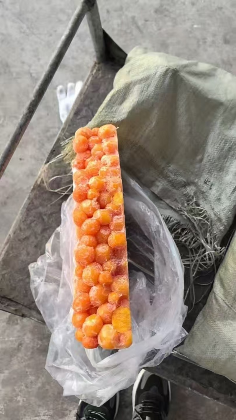 鸡蛋黄