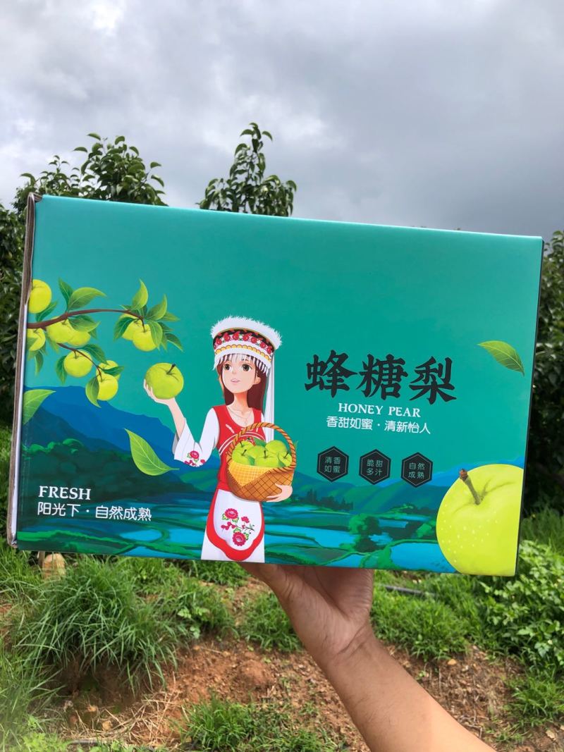 云南大理宾川古树蜂糖梨礼盒批发/电商一件代发