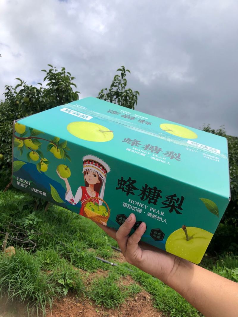 云南大理宾川古树蜂糖梨礼盒批发/电商一件代发