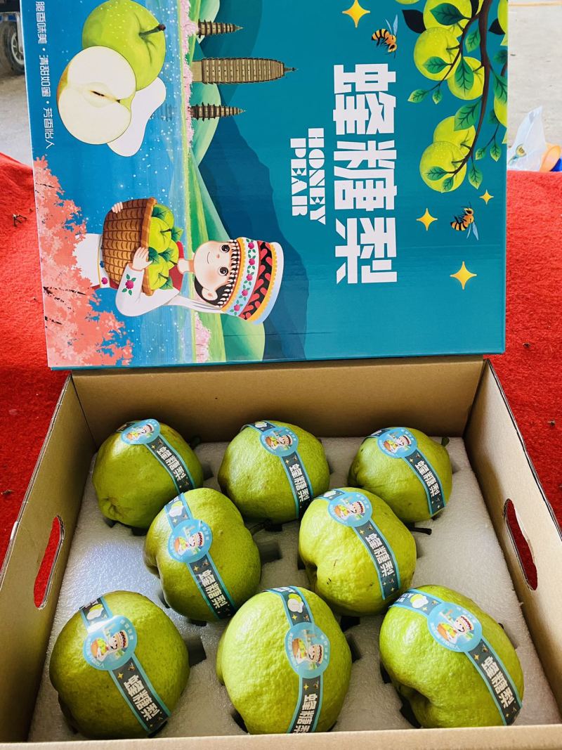 云南大理宾川古树蜂糖梨礼盒批发/电商一件代发