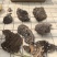 马蜂窝