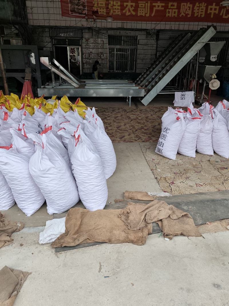 板栗上市欢迎新老客户前来洽谈合作通货