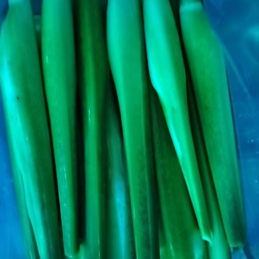 辽宁北京茭